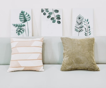 Decorative Cushions